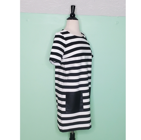 Club Monaco Haley Striped Shift Dress - Picture 8 of 9